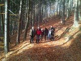 TRAMP-2012jpg (10)